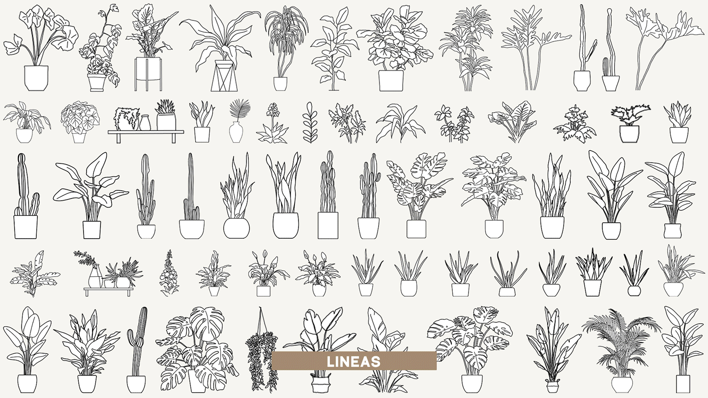 Contenido del pack de vegetación de la Biblioteca Carletto