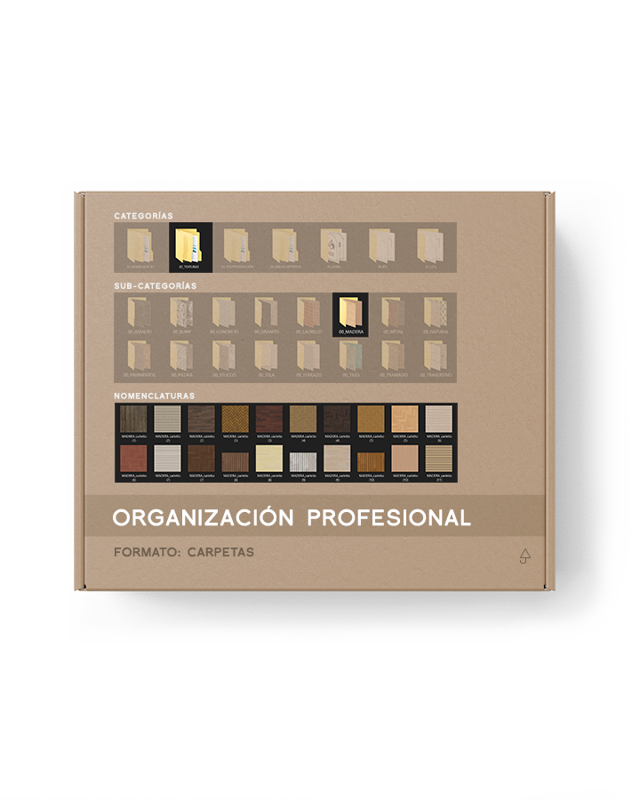 Sistema de organización profesional de la Biblioteca Carletto